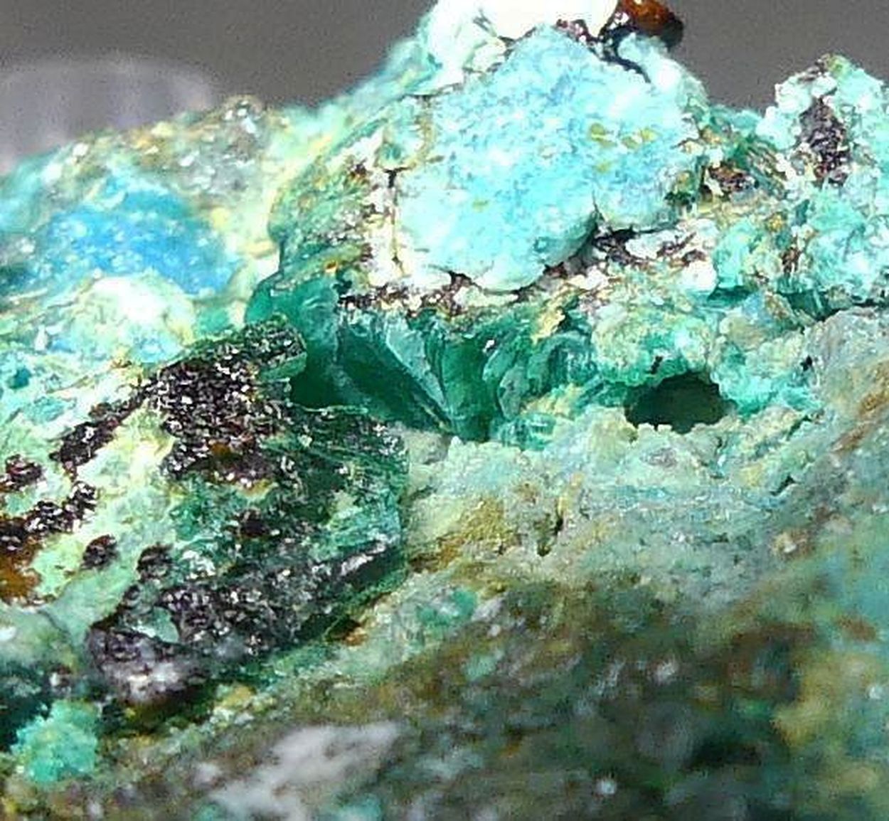 Chalcophyllite & Cyanotrichite