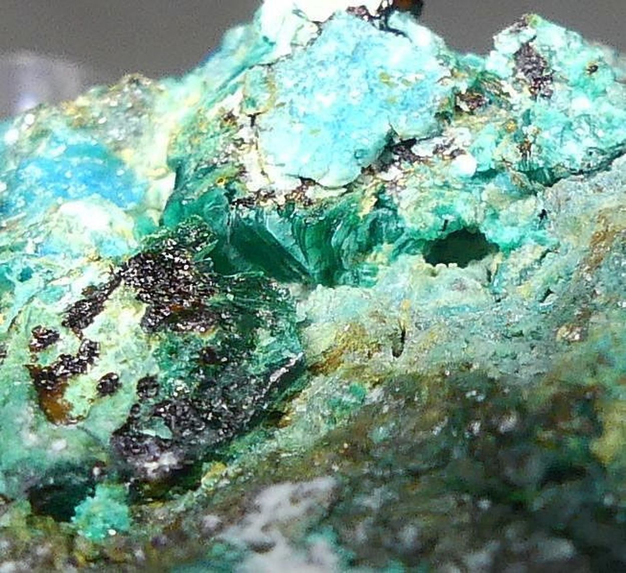 Chalcophyllite & Cyanotrichite