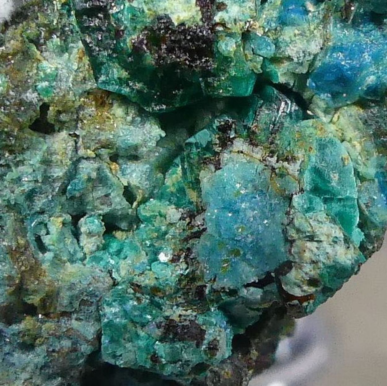 Chalcophyllite & Cyanotrichite