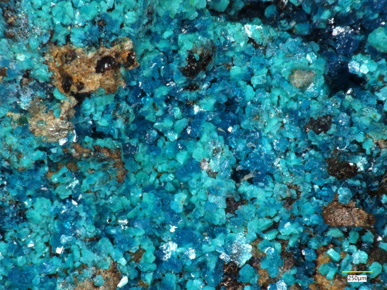 Langite & Linarite