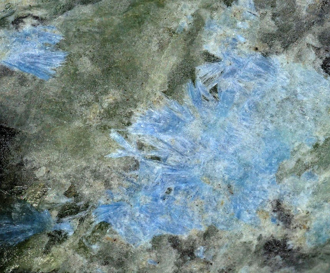 Nakauriite On Serpentine