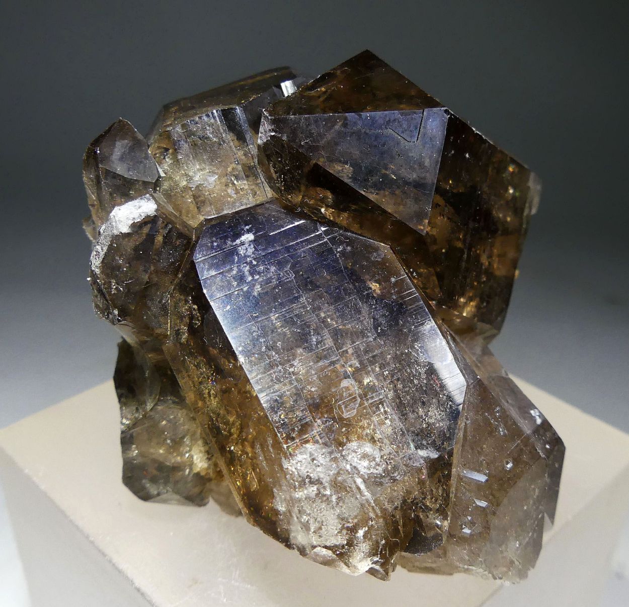 Smoky Quartz With Apatite