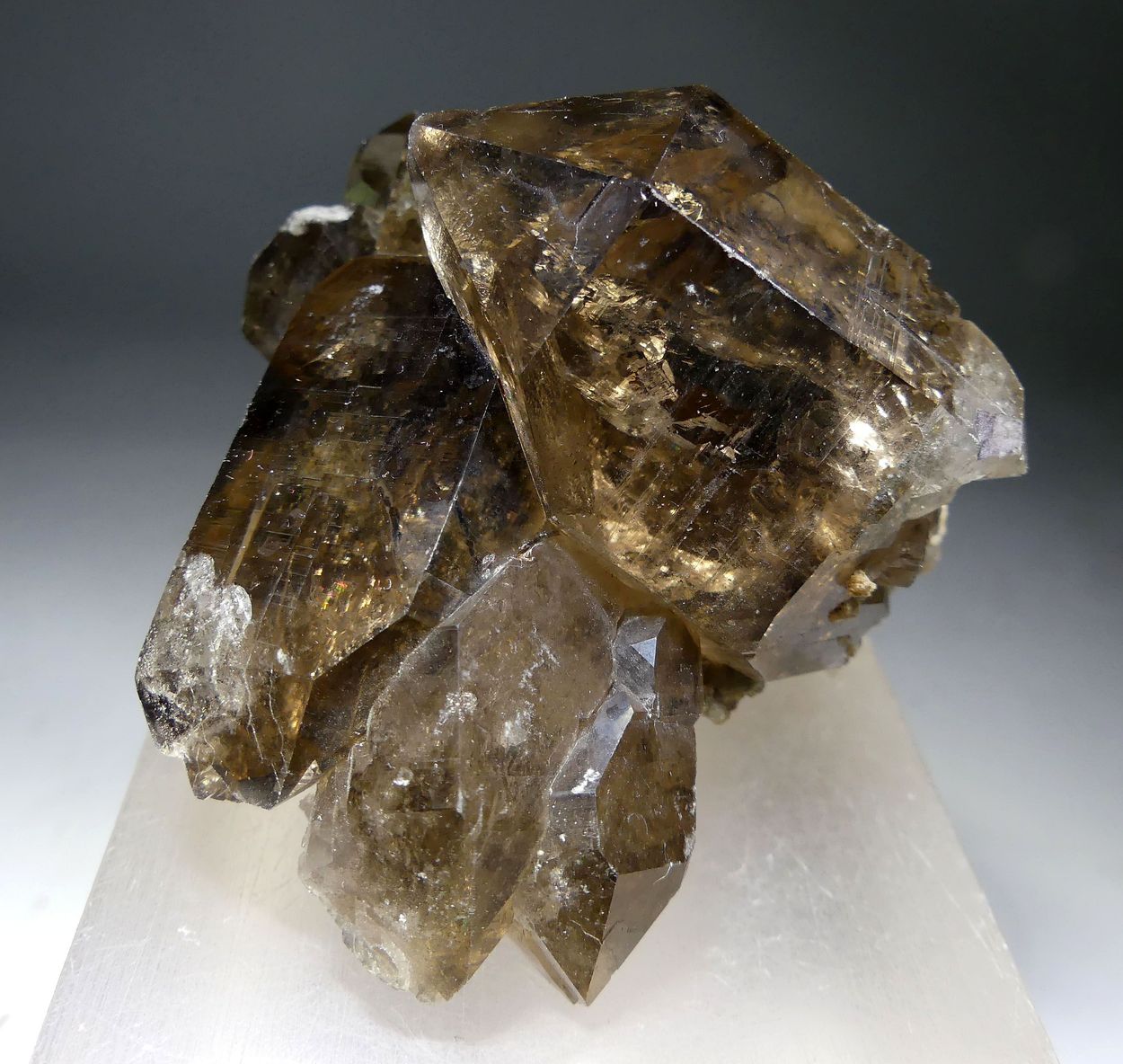 Smoky Quartz With Apatite