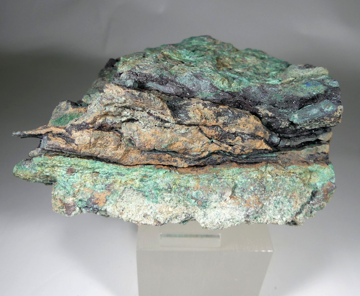 Covellite With Malachite Psm Fossil Wood