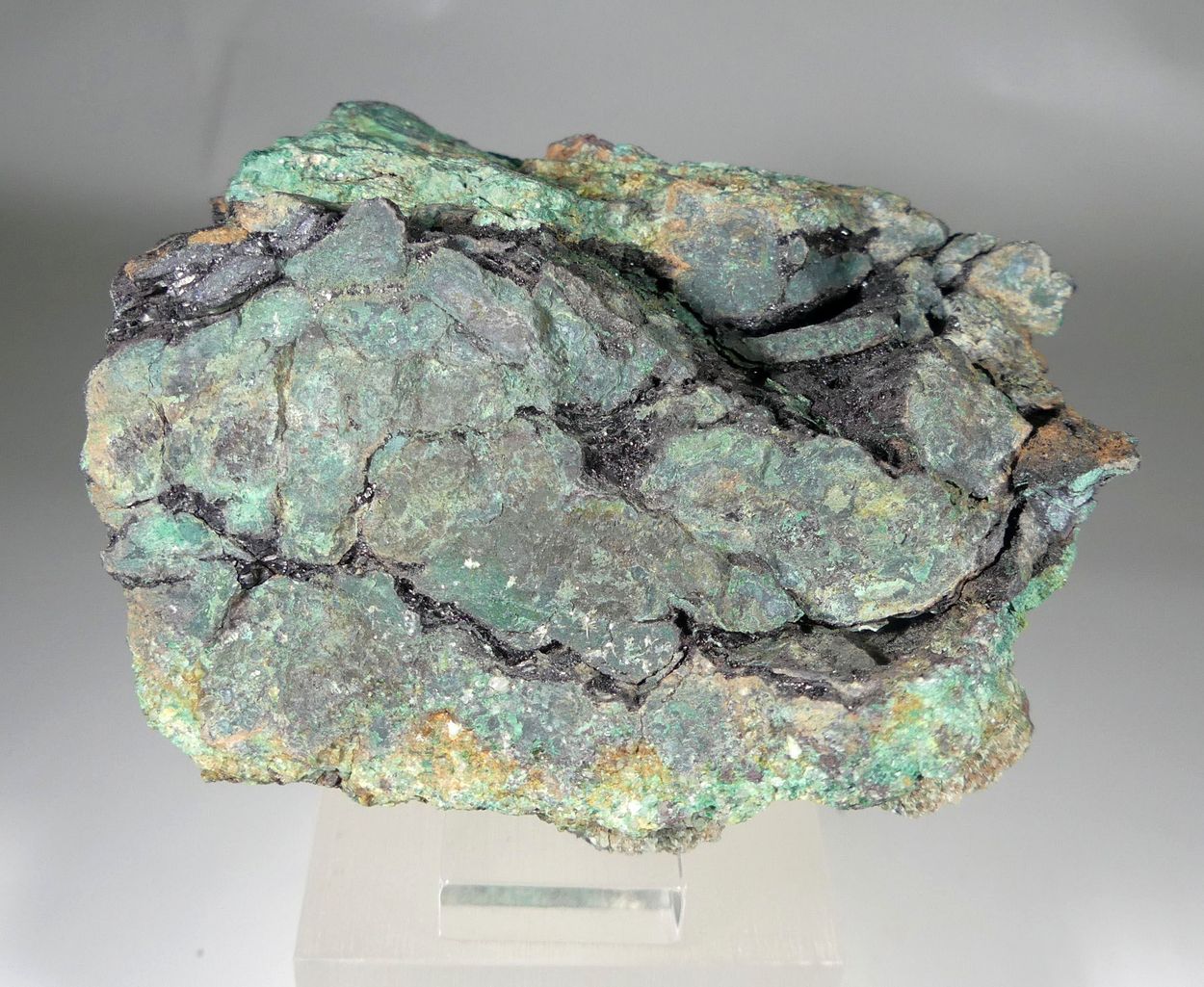 Covellite With Malachite Psm Fossil Wood