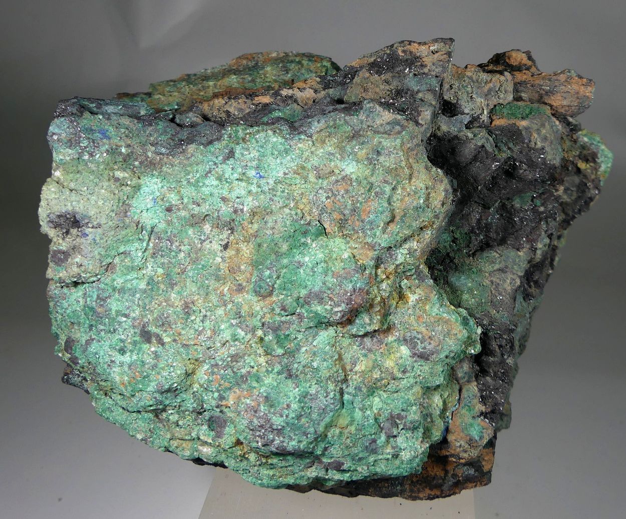 Covellite With Malachite Psm Fossil Wood