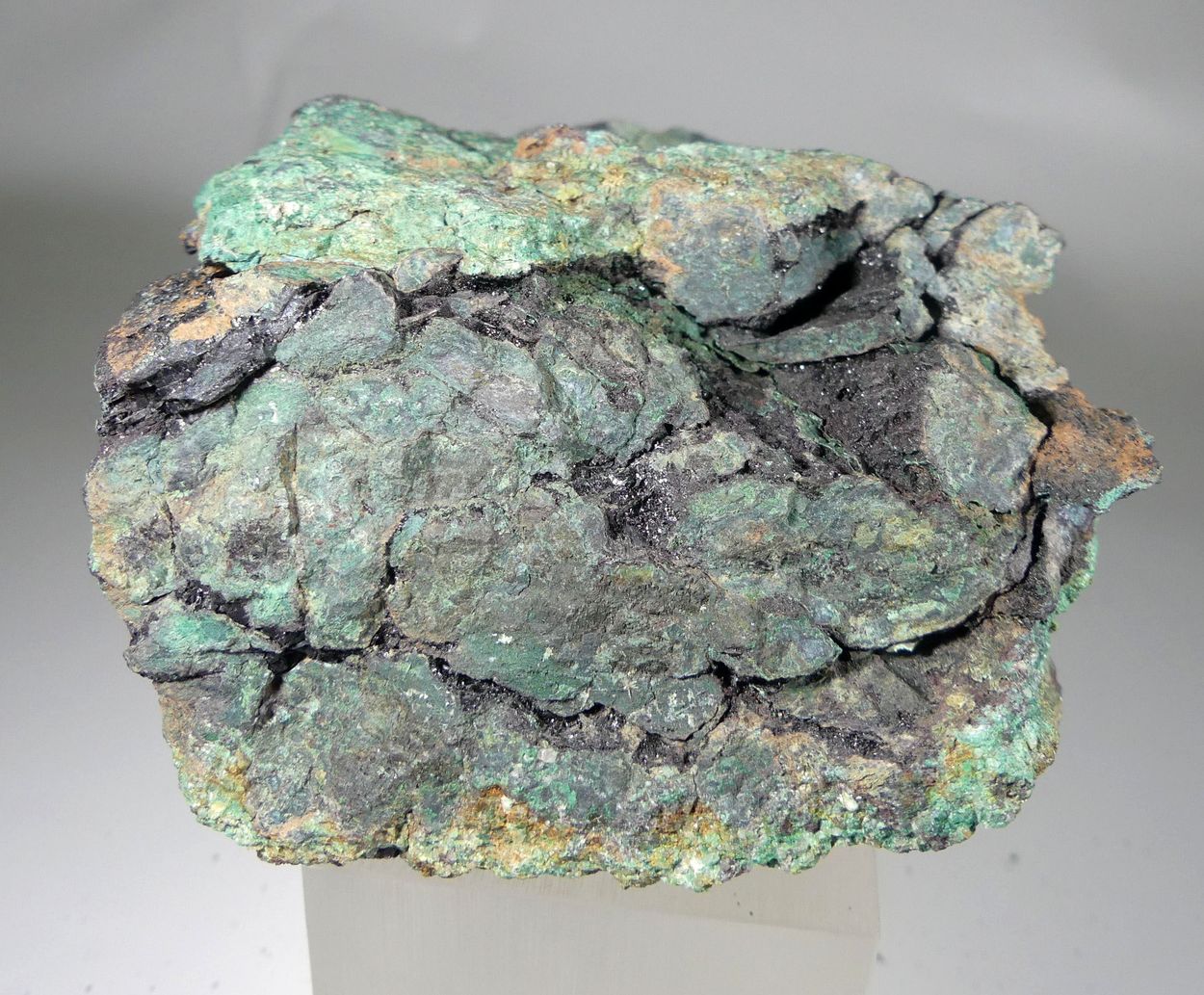 Covellite With Malachite Psm Fossil Wood