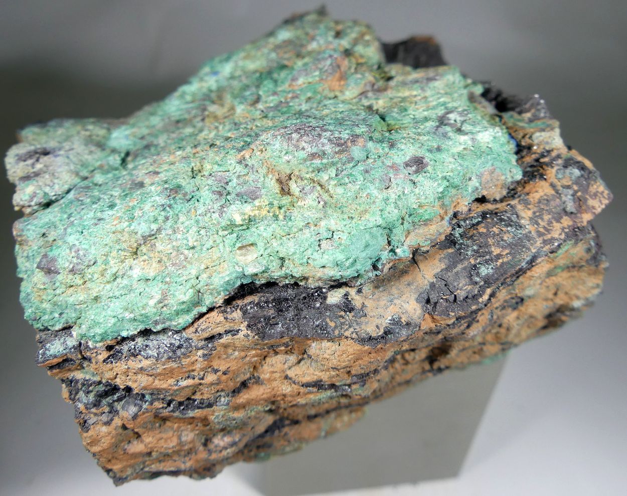 Covellite With Malachite Psm Fossil Wood