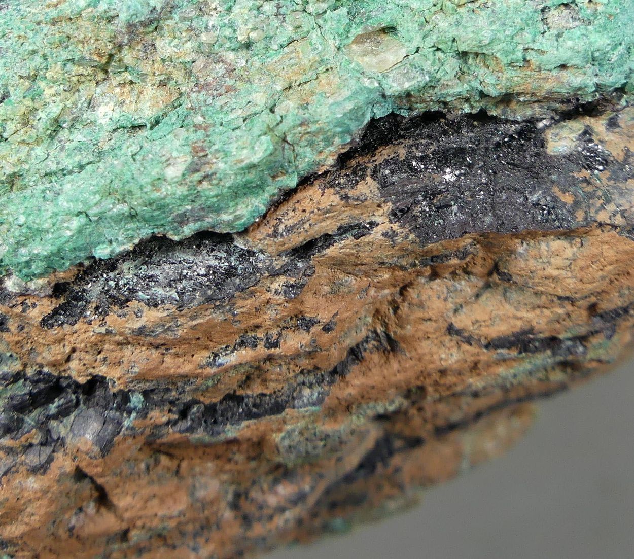 Covellite With Malachite Psm Fossil Wood