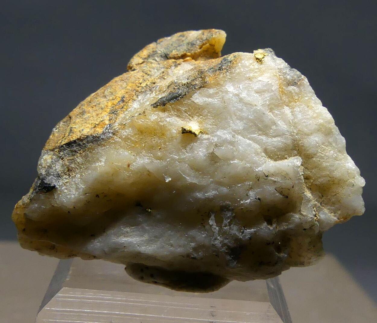 Native Gold On Quartz