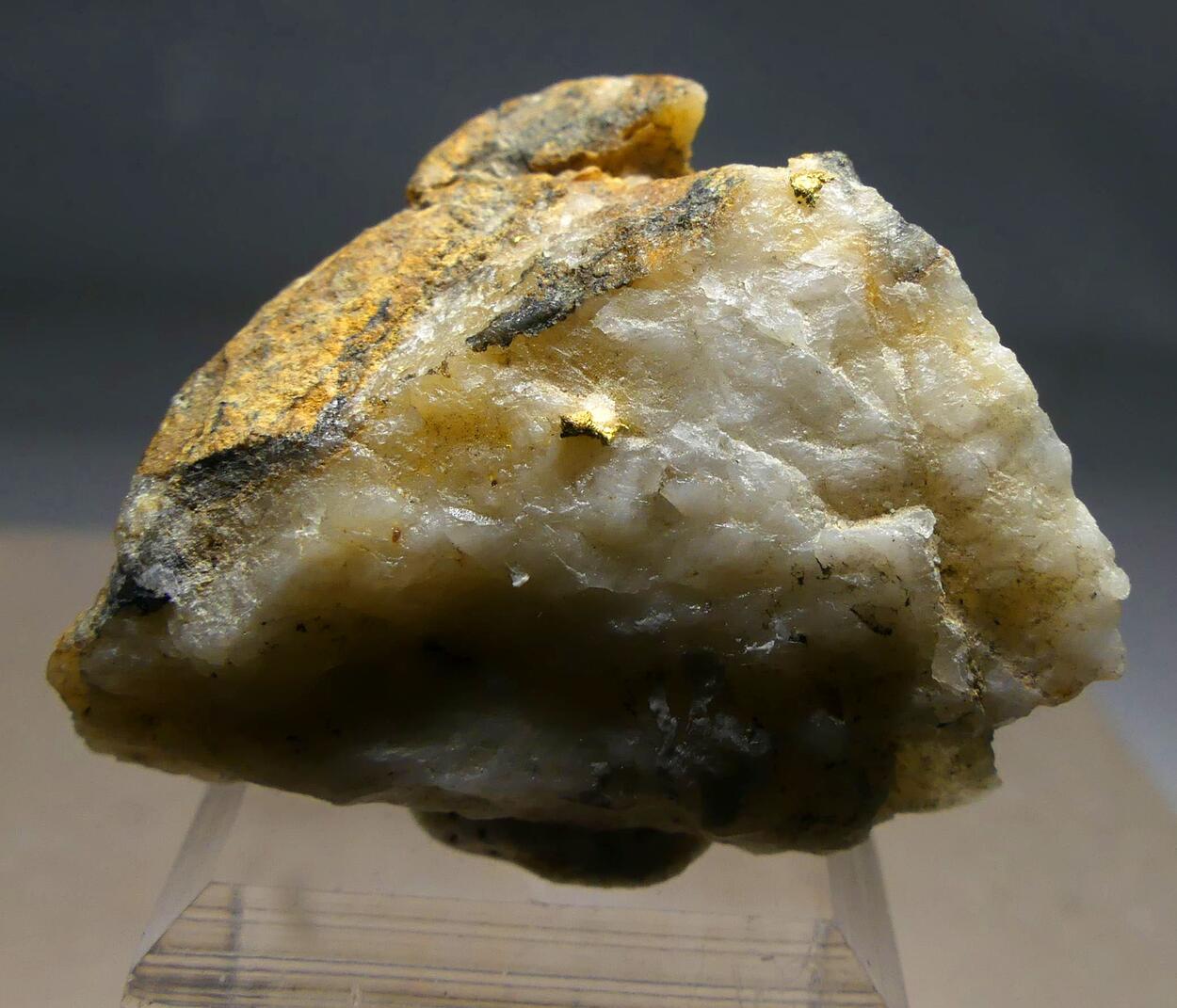 Native Gold On Quartz