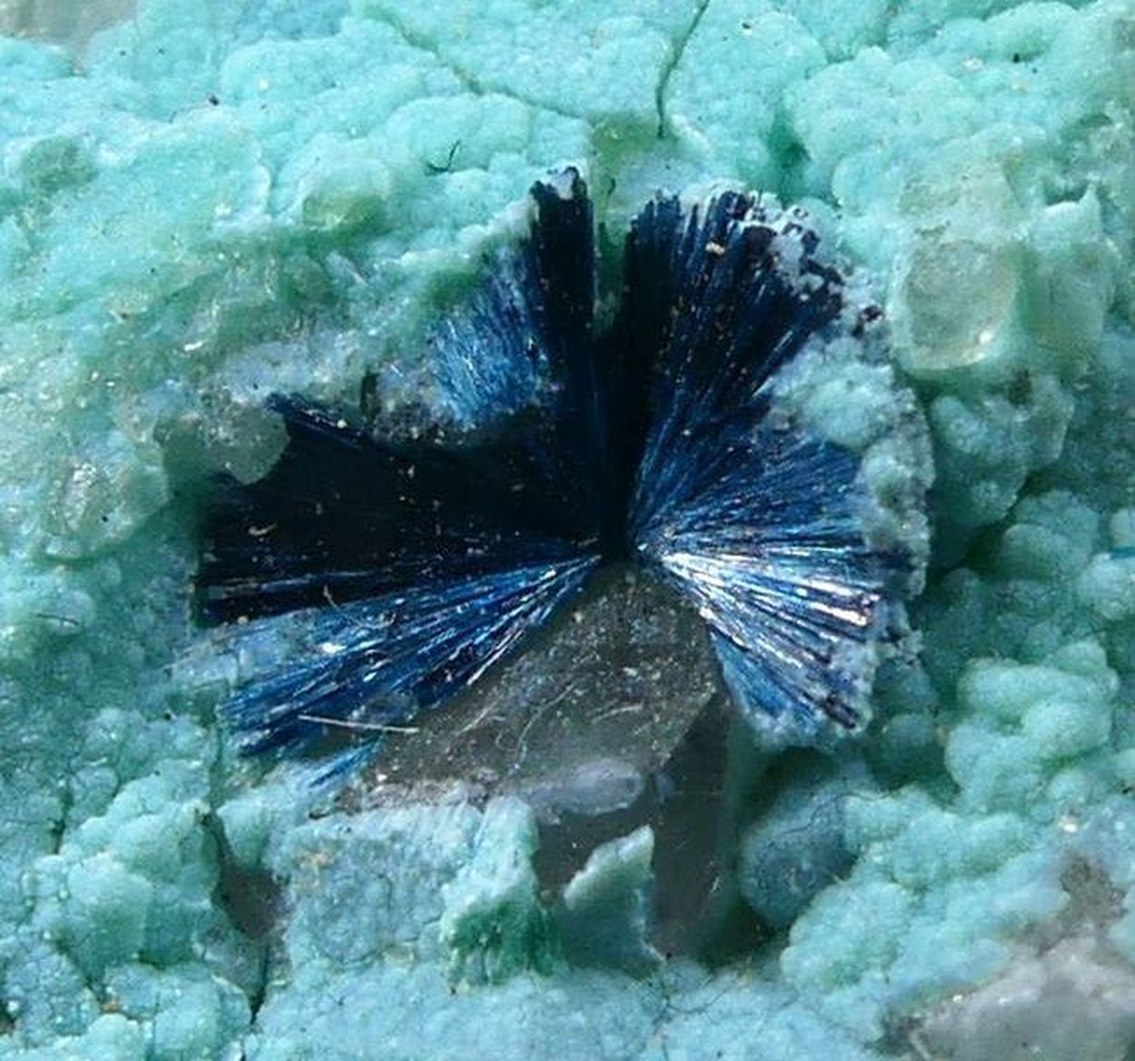 Clinoclase On Chrysocolla