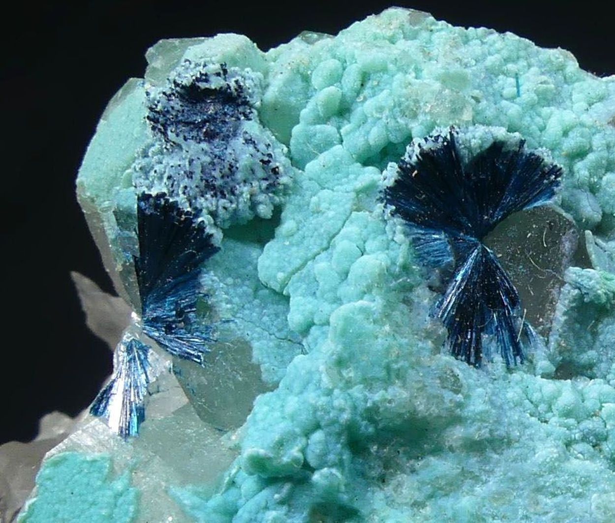 Clinoclase On Chrysocolla