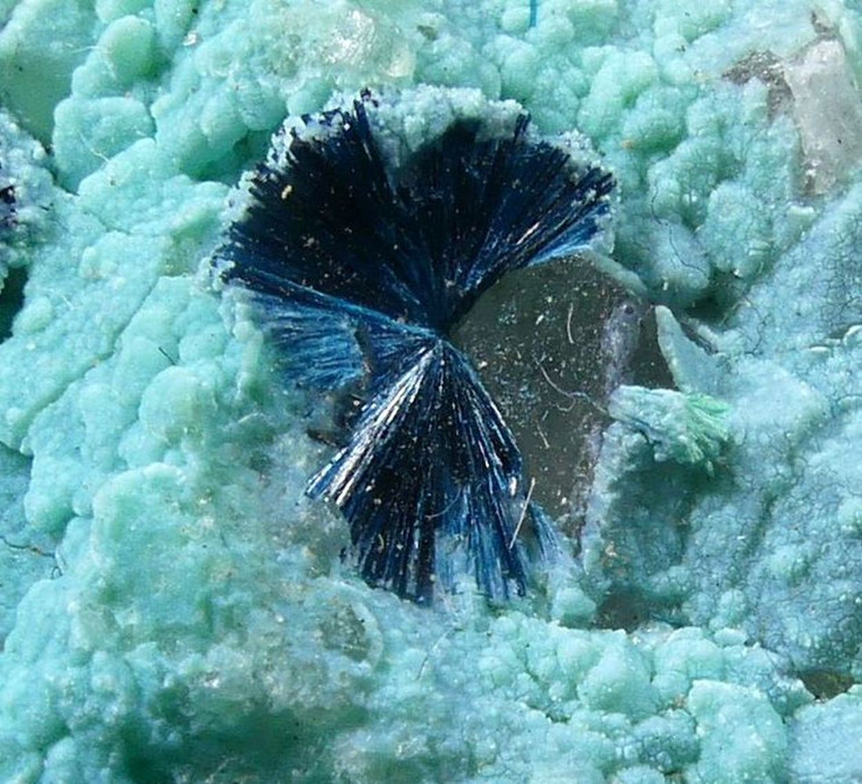 Clinoclase On Chrysocolla