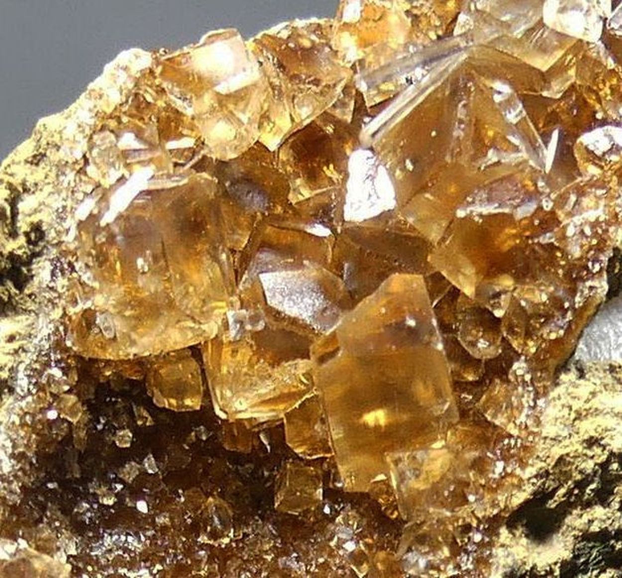 Natrolite On Calcite On Natrolite Psm Fossil Wood