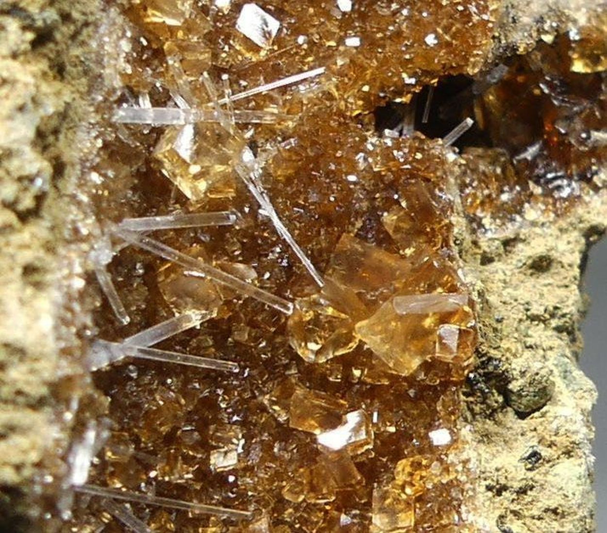 Natrolite On Calcite On Natrolite Psm Fossil Wood