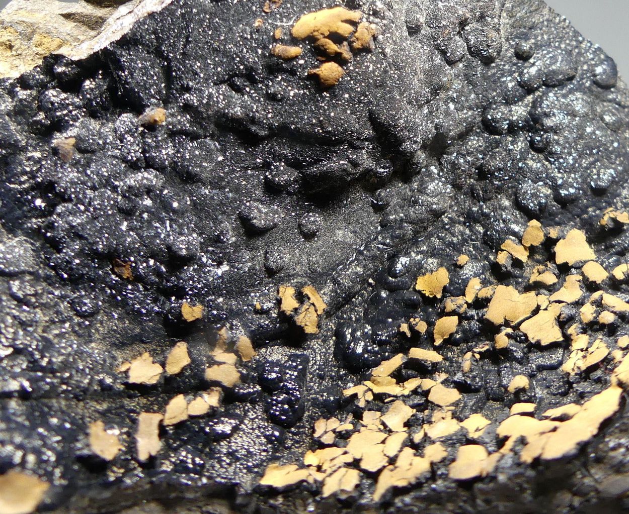 Lepidocrocite On Goethite