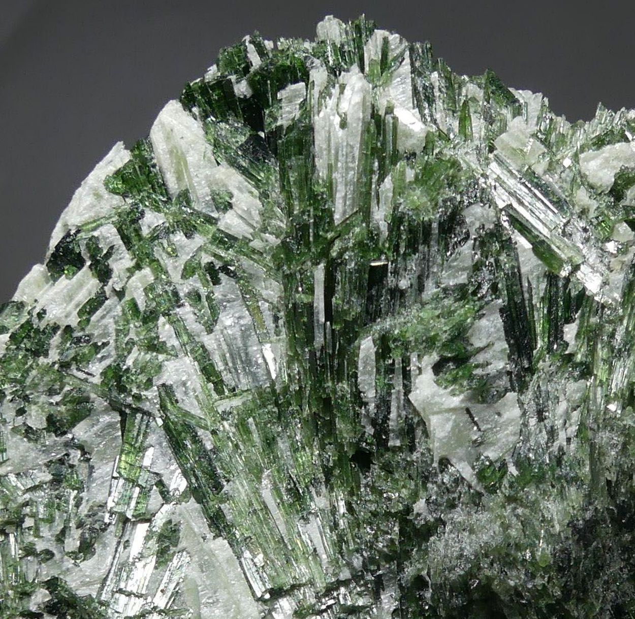 Actinolite