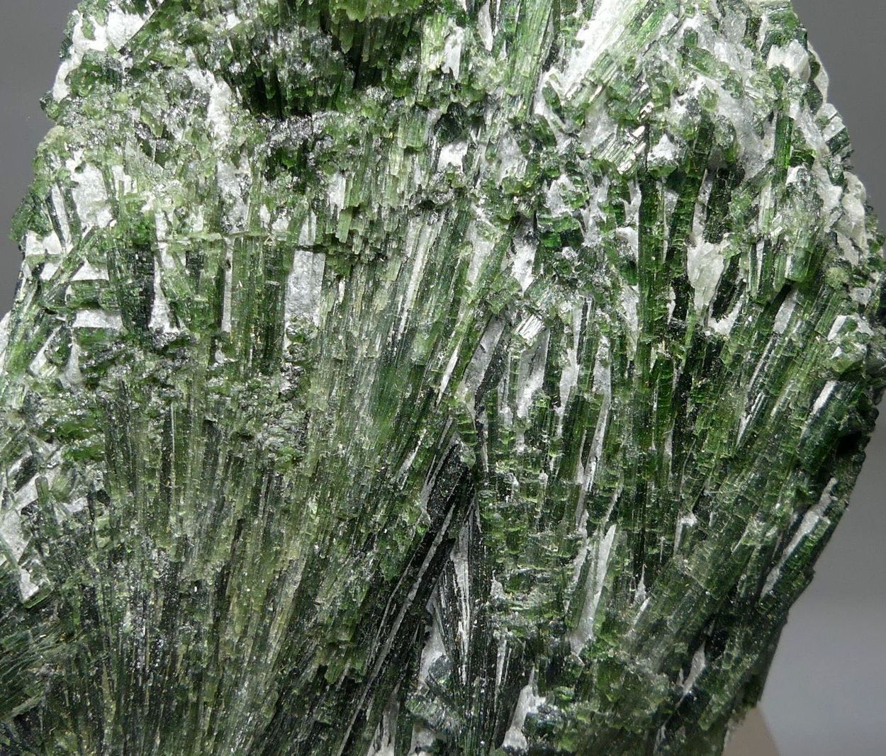 Actinolite