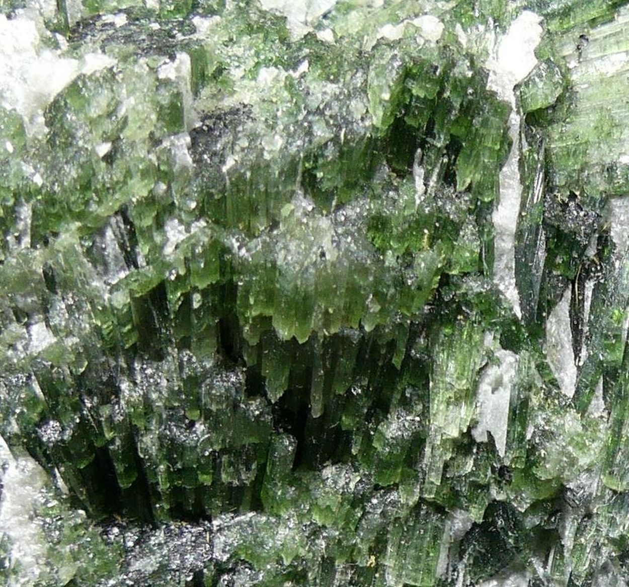 Actinolite