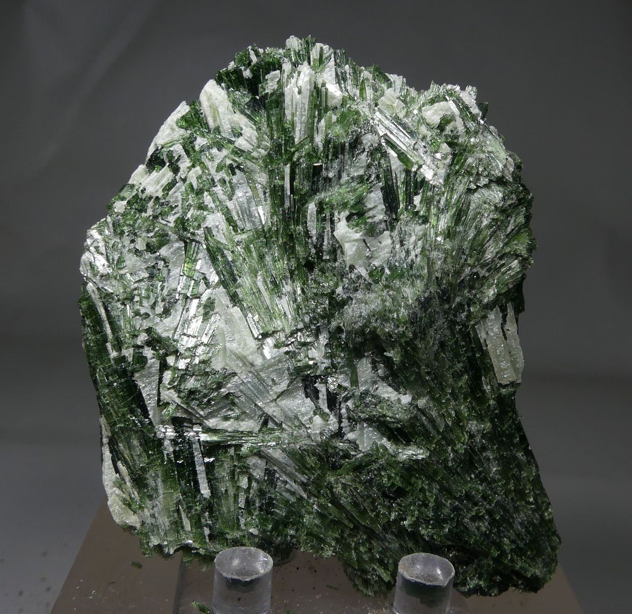 Actinolite