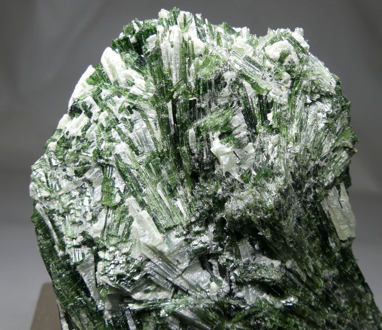 Actinolite