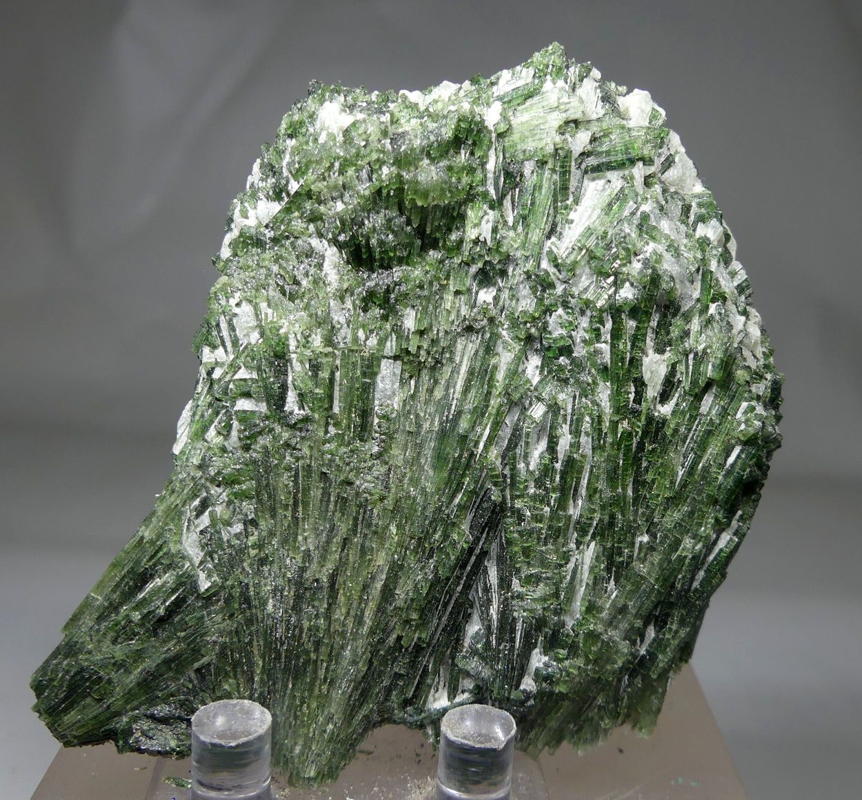 Actinolite