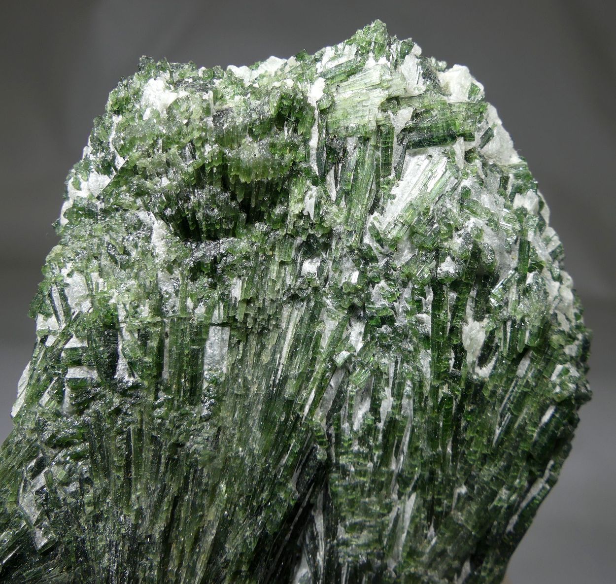 Actinolite