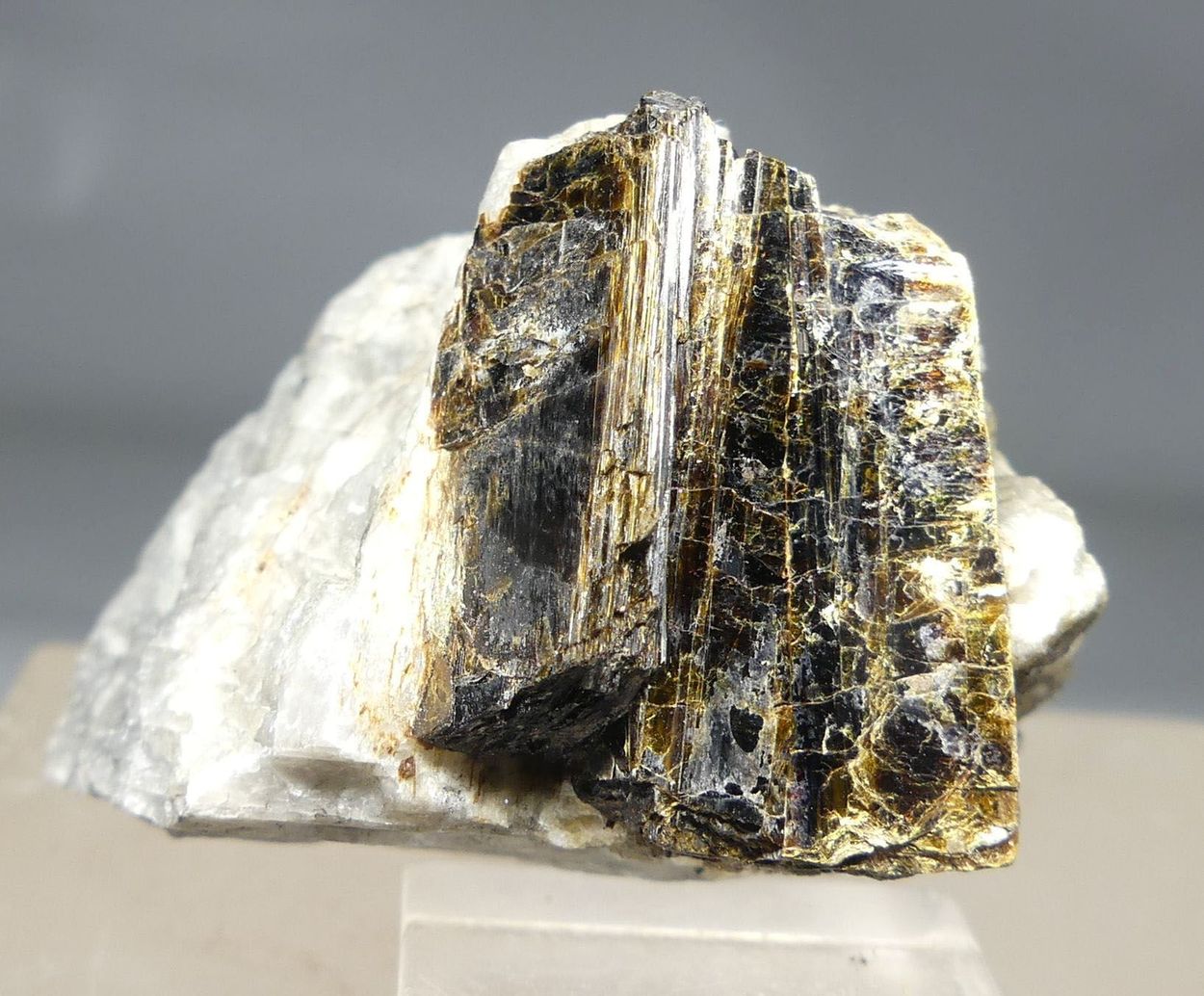 Astrophyllite