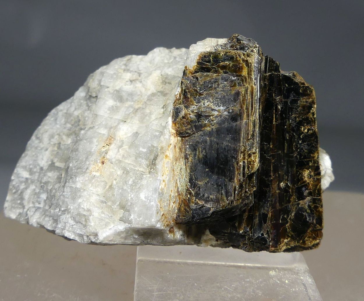 Astrophyllite