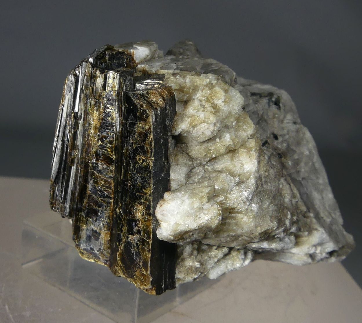 Astrophyllite