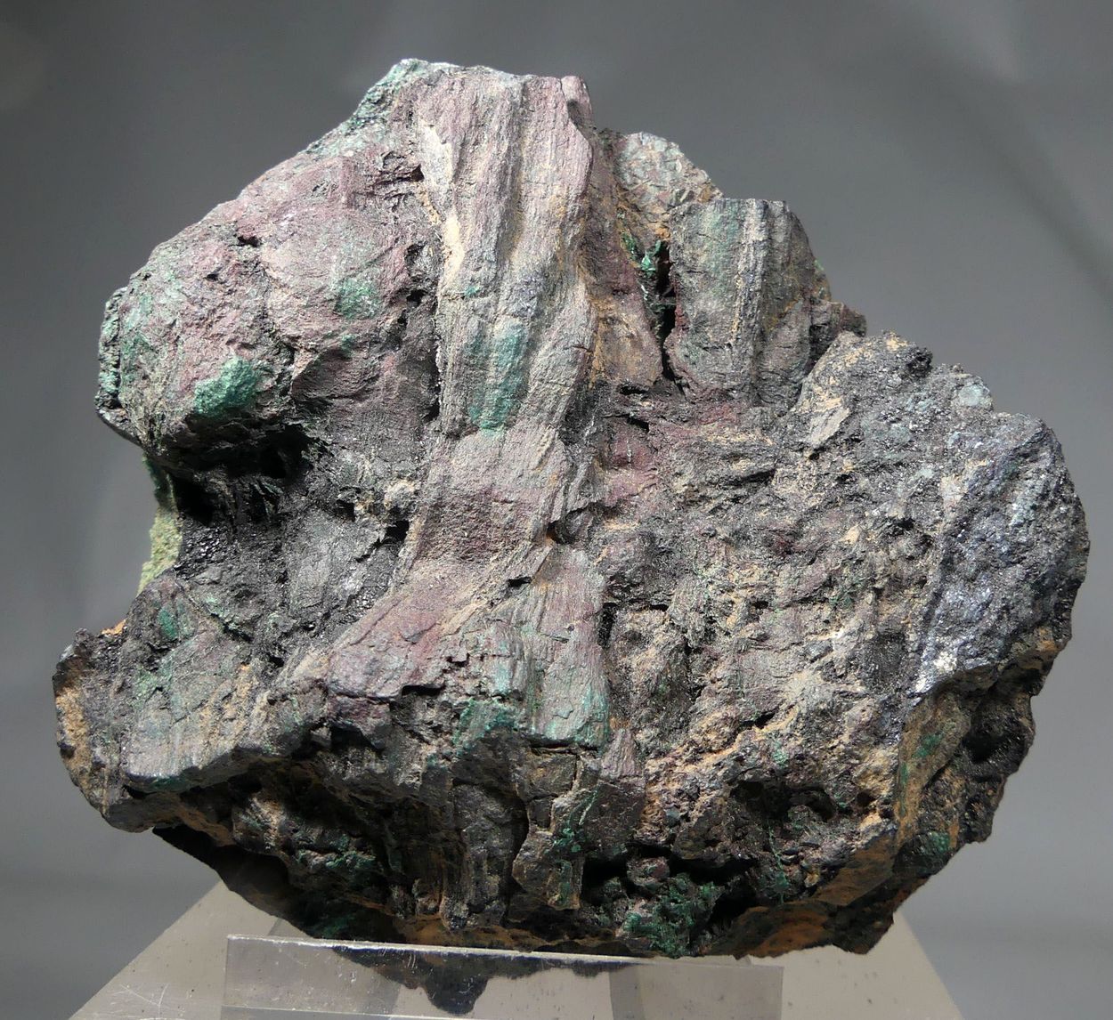 Chalcocite Psm Fossil Wood With Malachite & Bornite