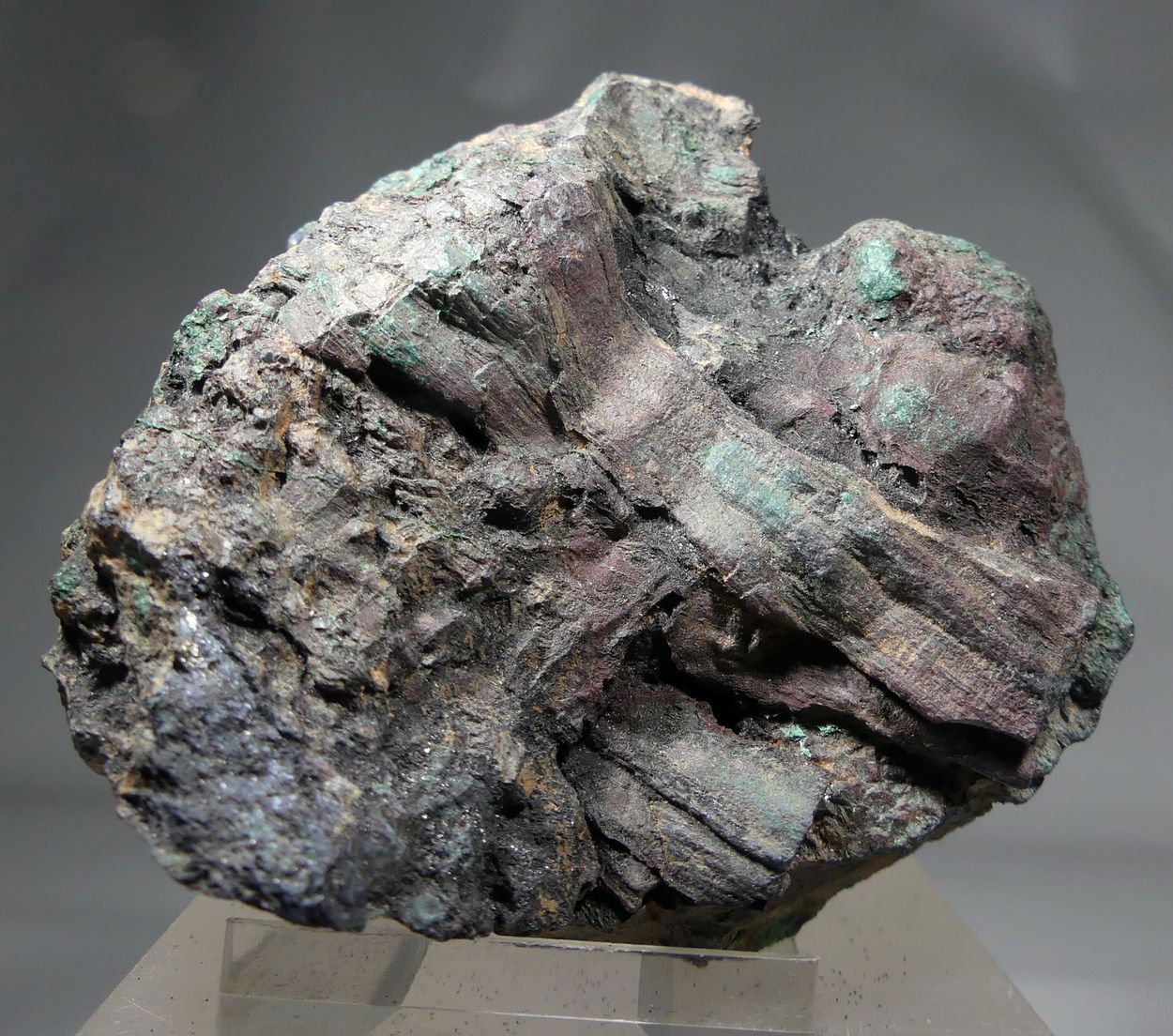 Chalcocite Psm Fossil Wood With Malachite & Bornite