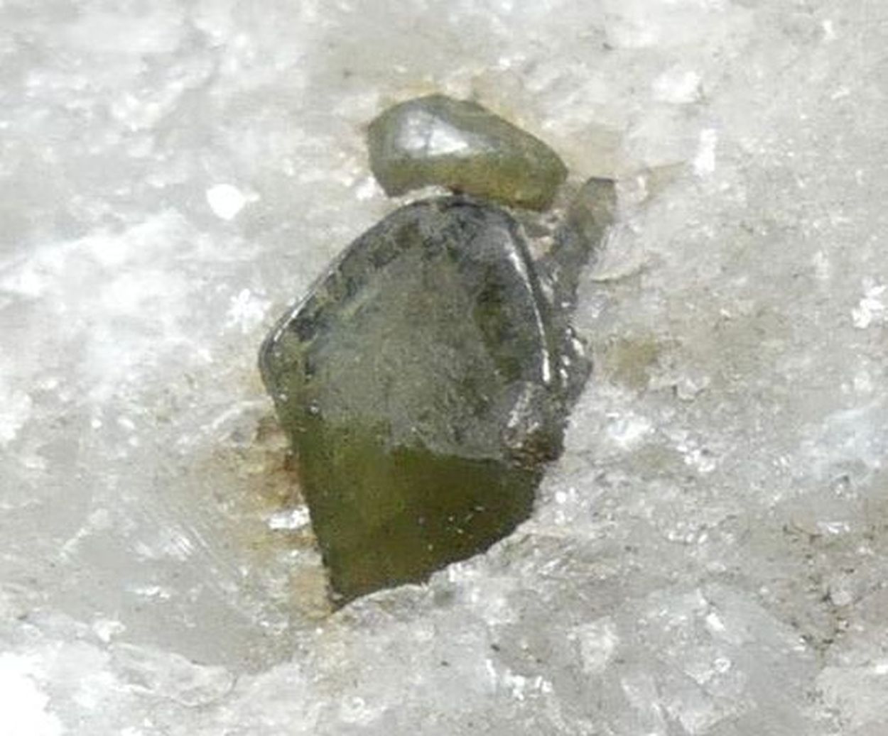 Pargasite