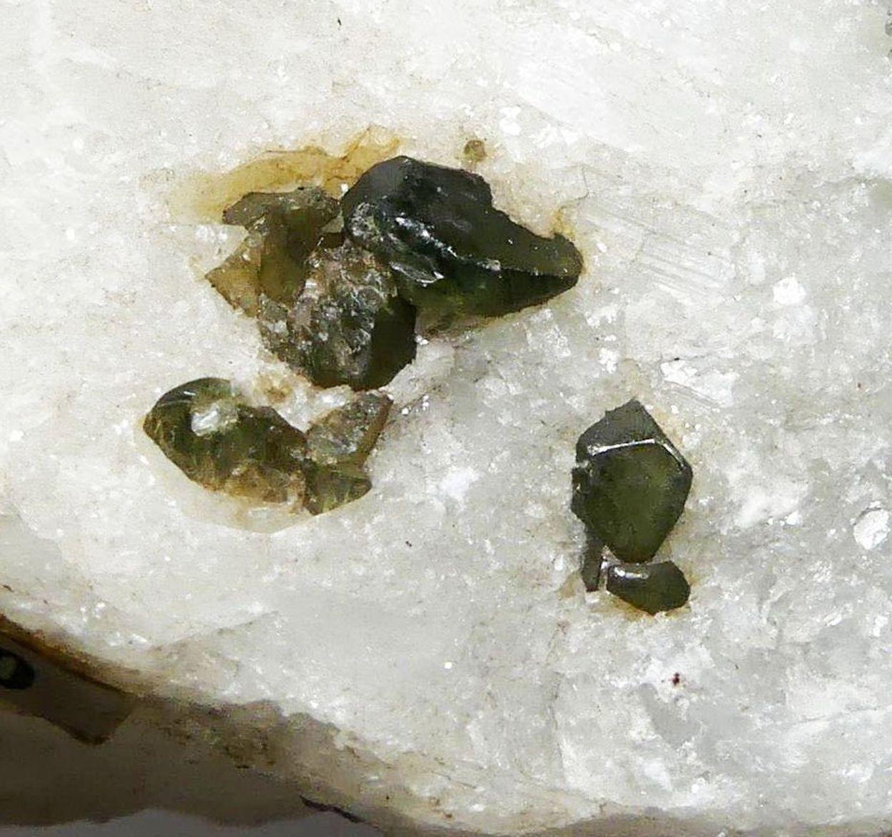 Pargasite