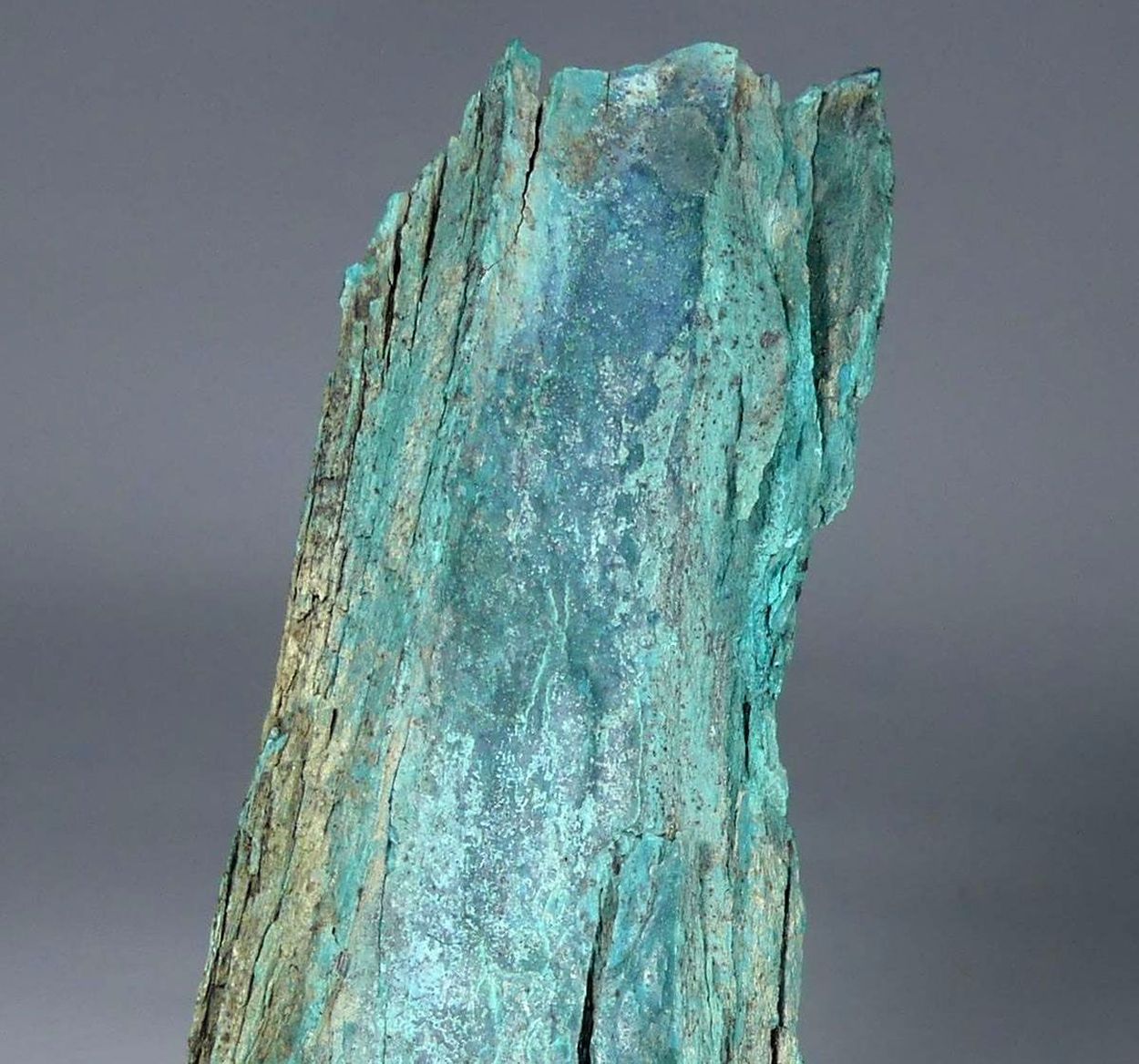 Turquoise Psm Fossil Bone