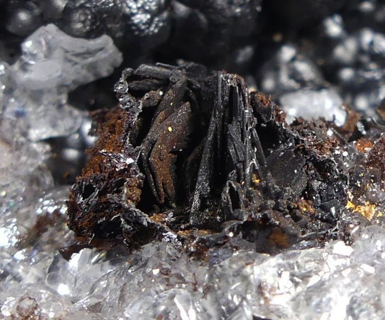 Goethite Glaskopf With Selenite & Goethite Psm Selenite