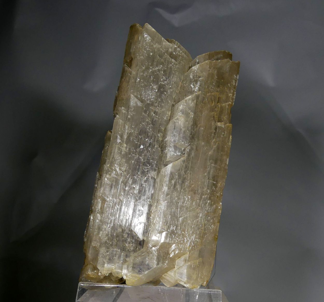 Selenite