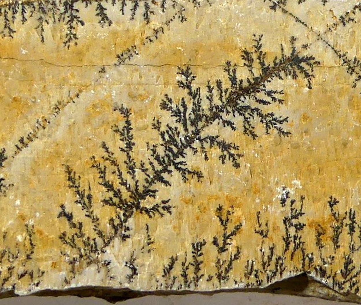 Manganese Dendrites