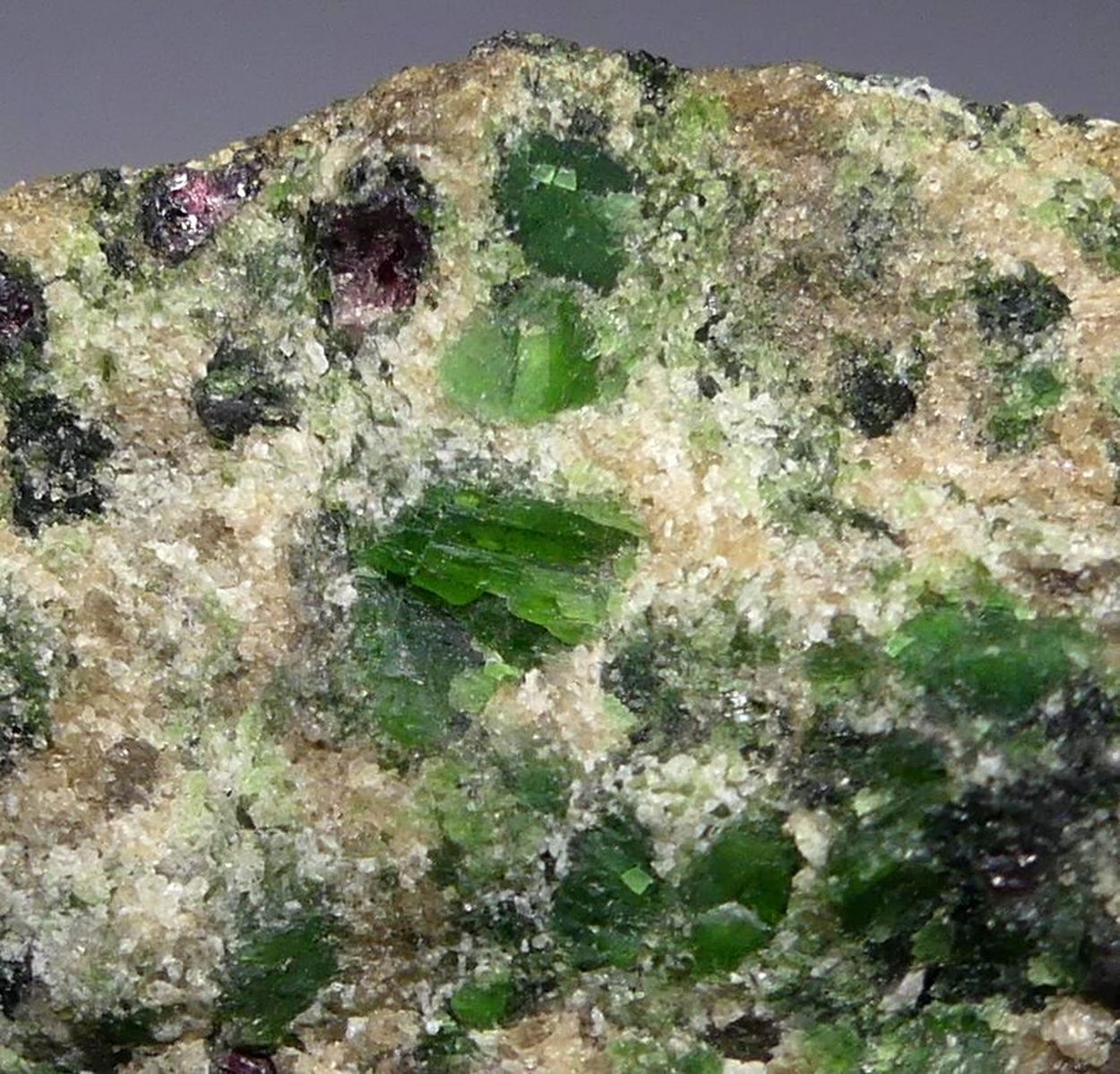 Pyrope & Chromian Diopside In Forsterite