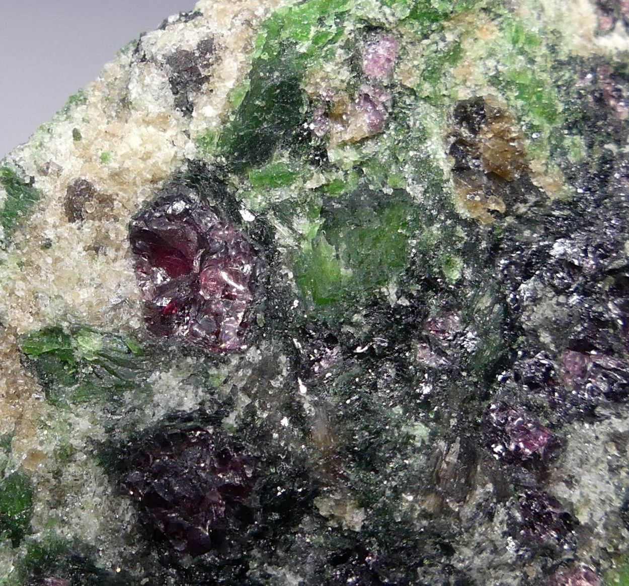 Pyrope & Chromian Diopside In Forsterite