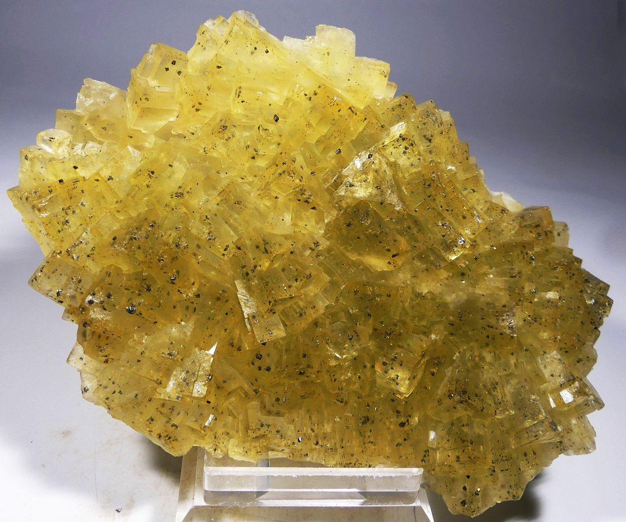 Fluorite With Chalcopyrite