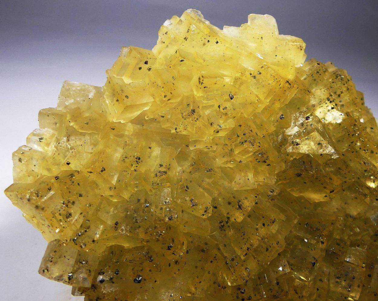 Fluorite With Chalcopyrite