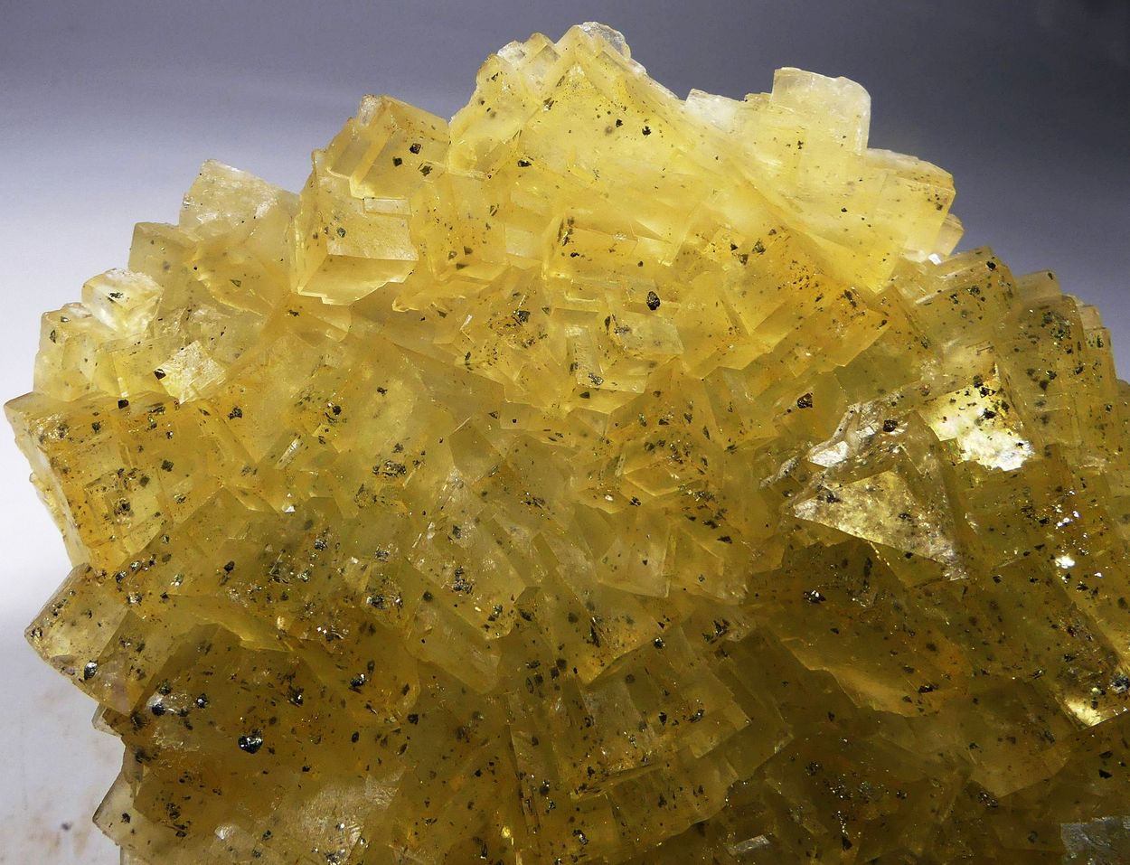 Fluorite With Chalcopyrite