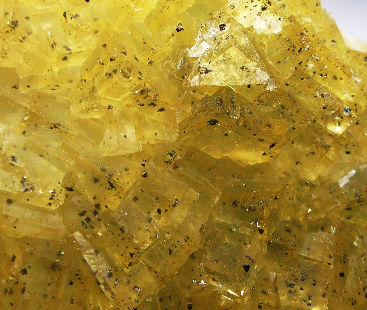 Fluorite With Chalcopyrite