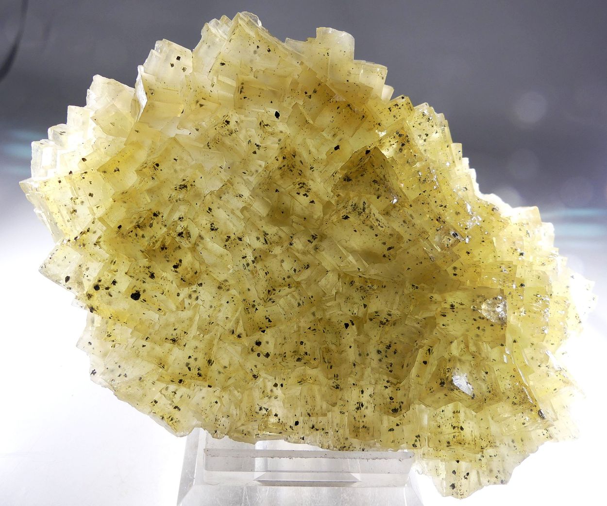 Fluorite With Chalcopyrite