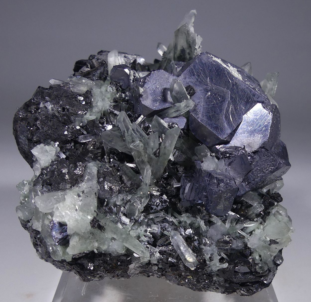 Galena Quartz & Tetrahedrite