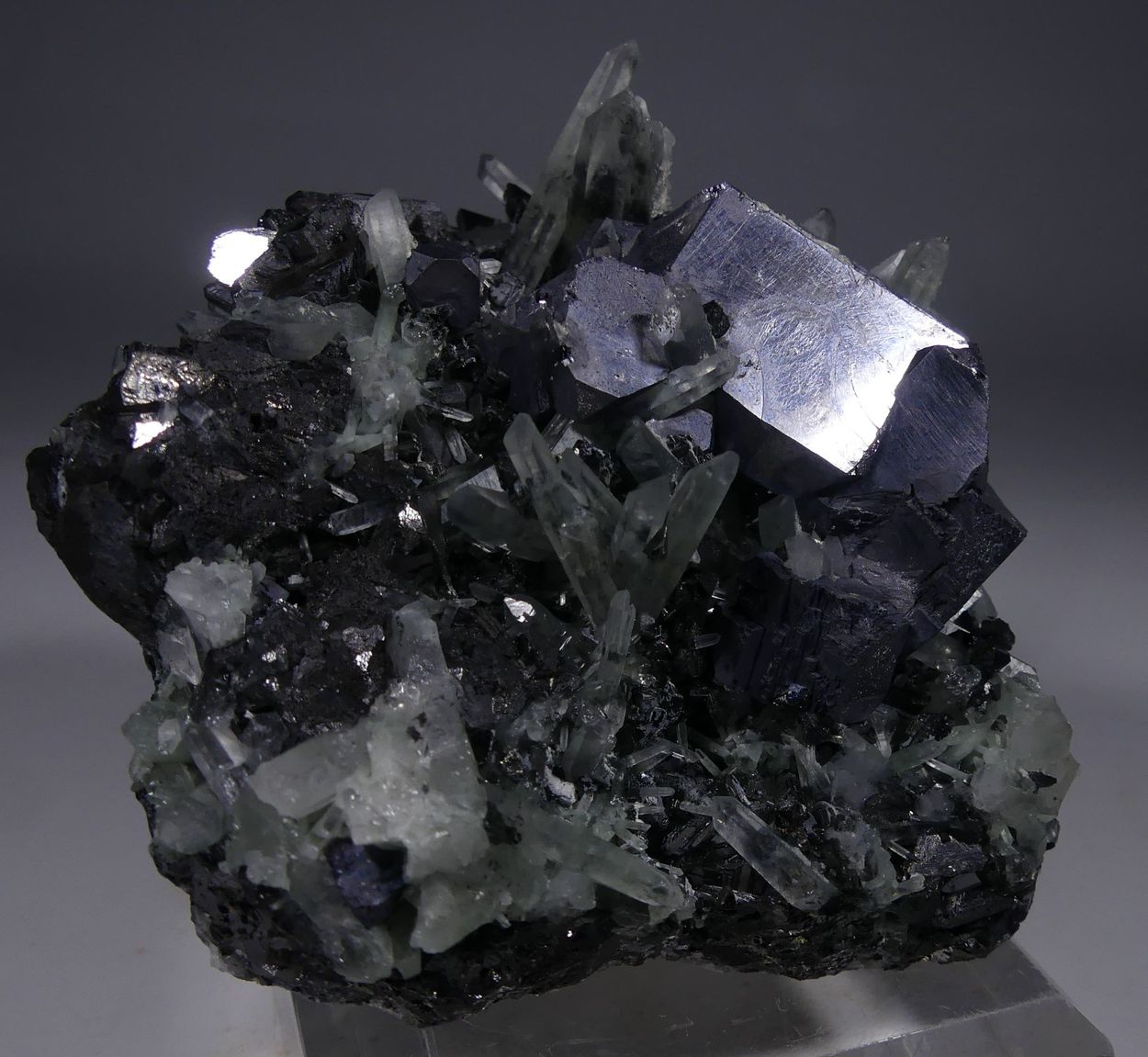 Galena Quartz & Tetrahedrite