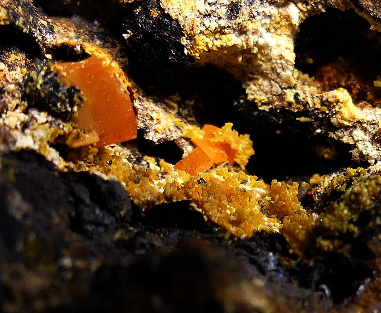 Wulfenite & Mimetite