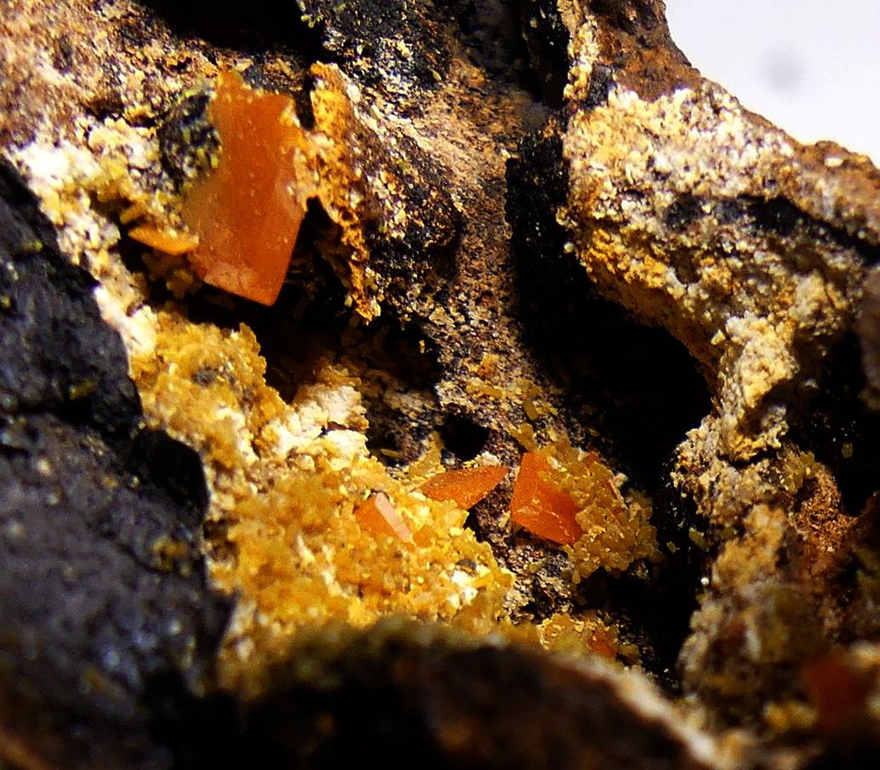 Wulfenite & Mimetite